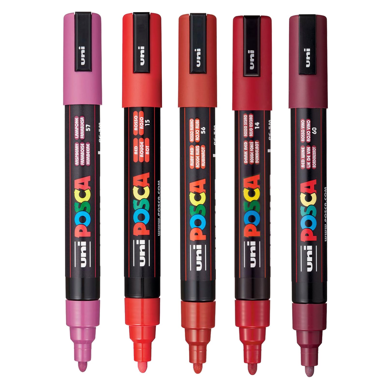 Amazon.com: posca Paint Art Markers, Set of 5 5M Medium Markers